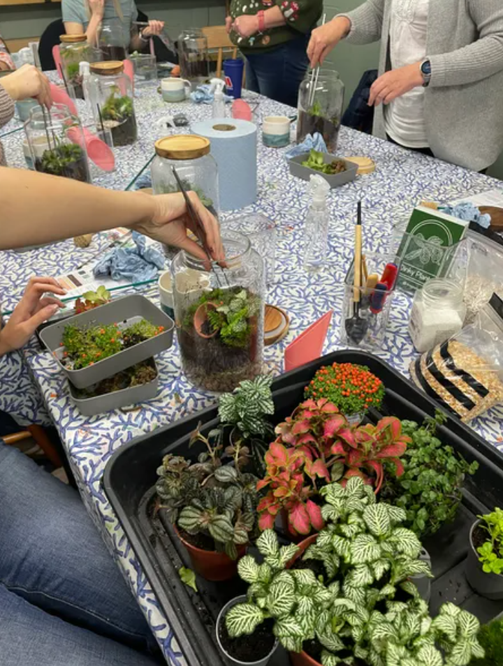 Group gathered around a table building terrariums with jars, moss, and potted plants